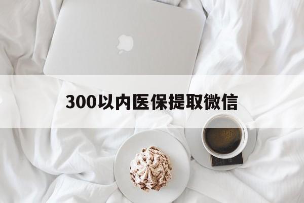 黑河300以内医保提取微信(小额医保300以内提取)